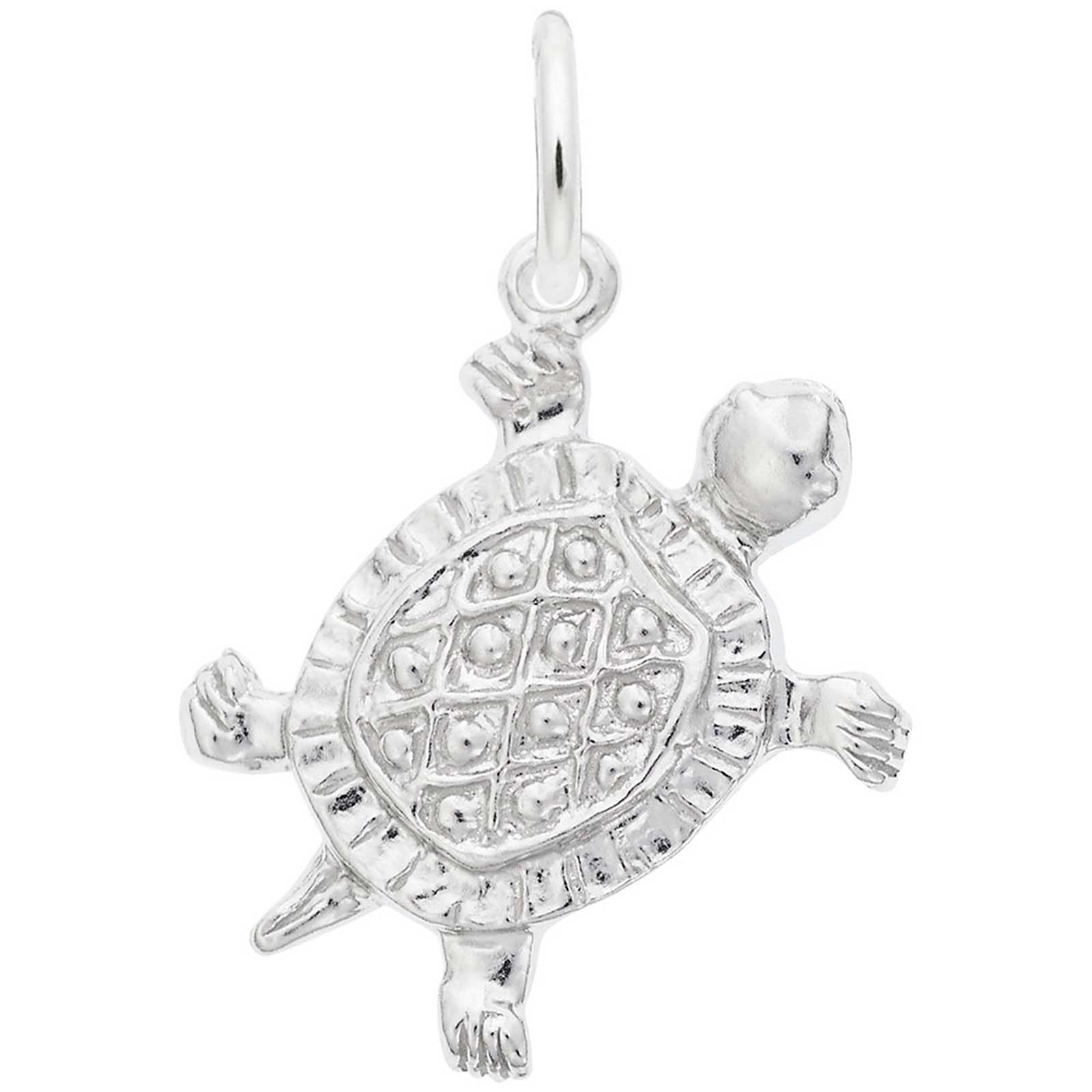 Rembrandt Turtle Charm, Sterling Silver: Precious Accents, Ltd.