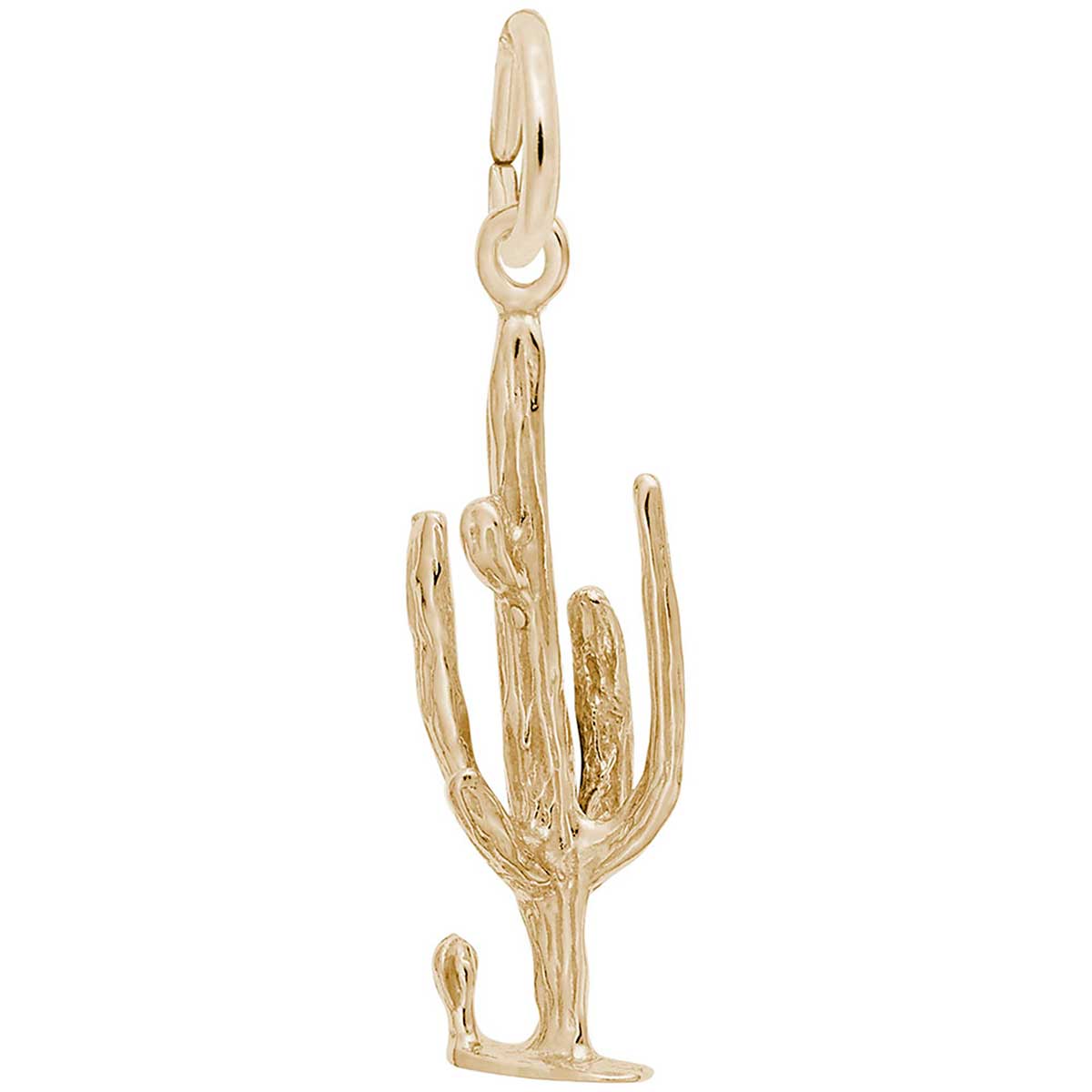Gold Saguaro Cactus Jewelry Holder