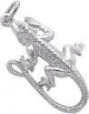 Reptile Charms