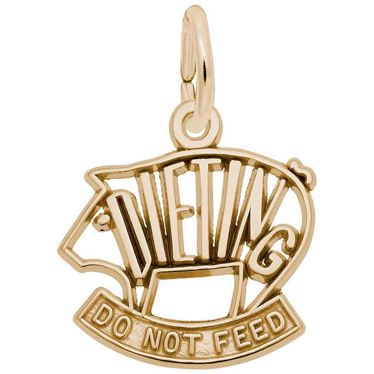 Rembrandt Dieting Charm, 10K Yellow Gold: Precious Accents, Ltd.