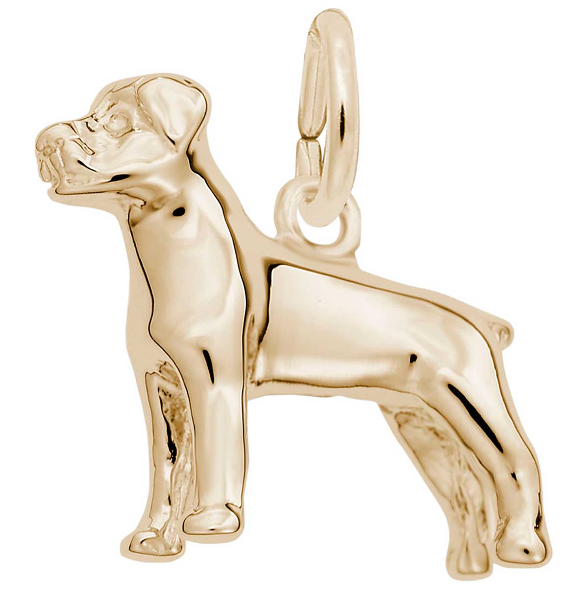 Rembrandt Rottweiler Dog Charm, 14K Yellow Gold: Precious