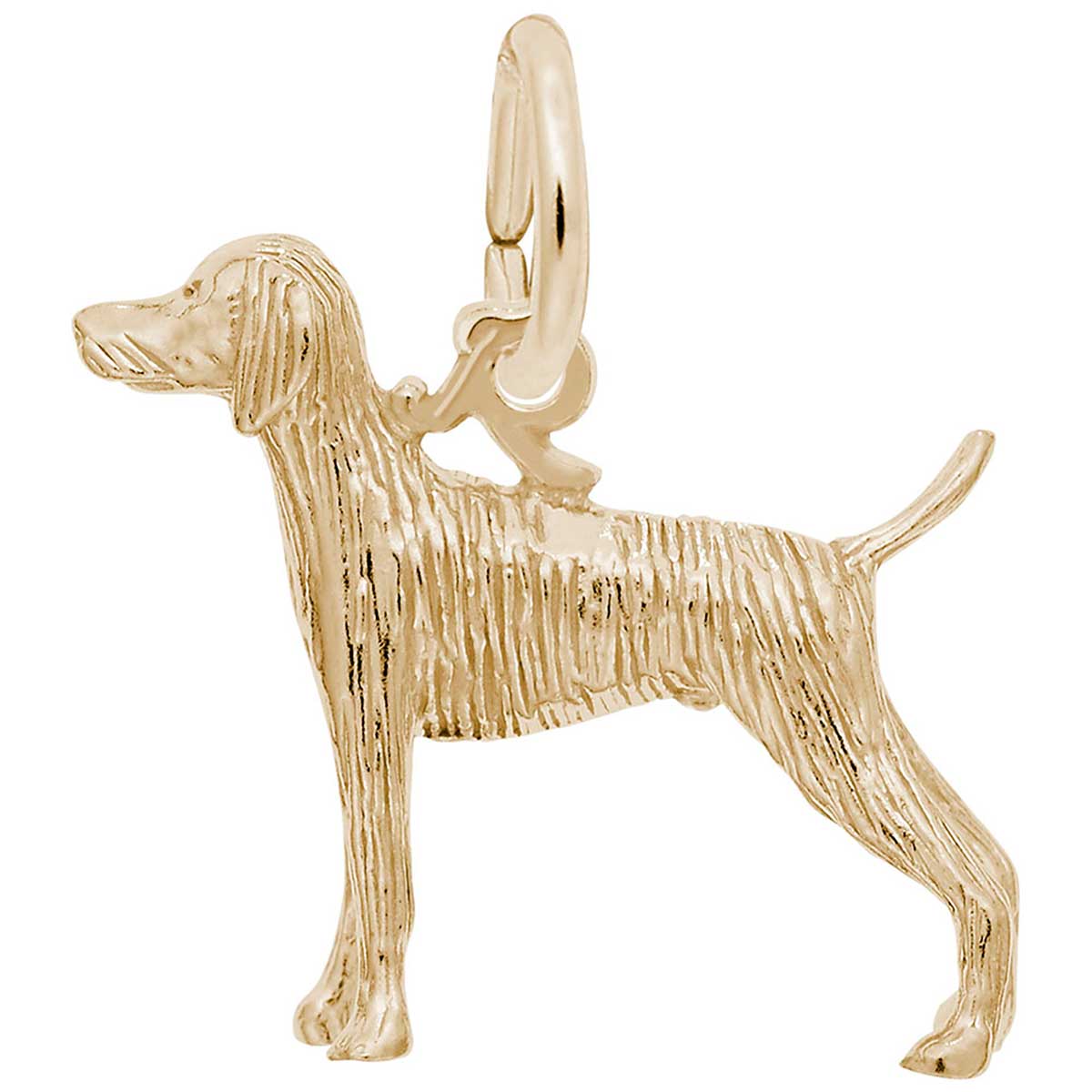 Rembrandt Weimaraner Dog Charm, 14K Yellow Gold