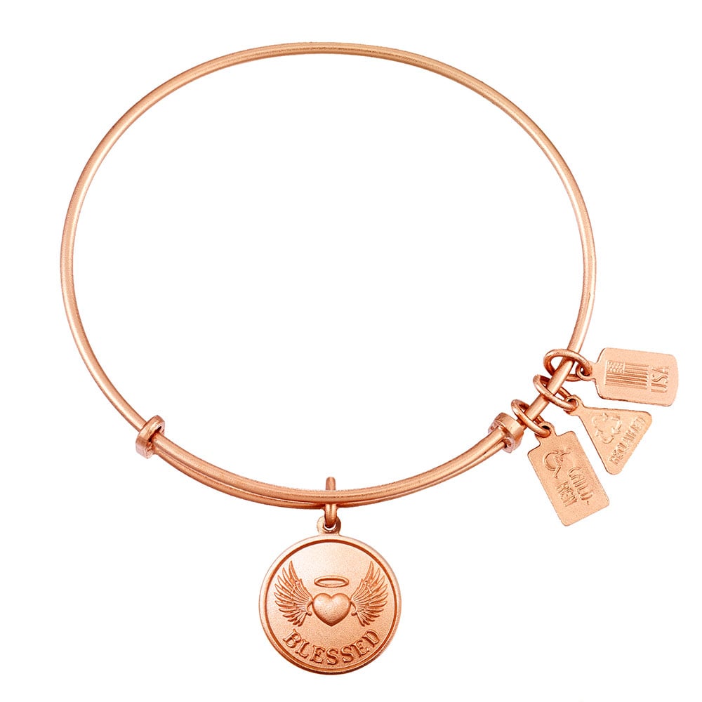 Alex and ani discount blessed charm bangle